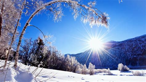 Inverno Neve Montanhas E árvores Paisagem Branca Sol Deslumbrante