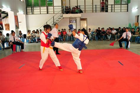 Could myanmar's military stage a coup? IKO MATSUSHIMA INTERNATIONAL KARATE ORGANIZATION ...