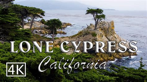 4k Lone Cypress At 17 Mile Drive California Youtube