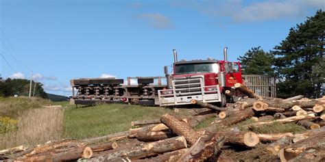 Logging Truck Spills Cargo Onto Highway