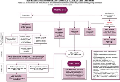 Treatment Pathway For Primary Cutaneous Squamous Cell Carcinoma Cscc