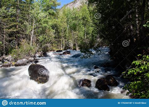 Altai Mountain River In Forest Stock Image Image Of Cliff Rock