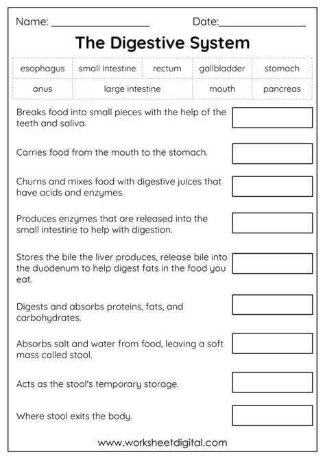 Grade 3 Science Practice Test Worksheet Live Worksheets Worksheets