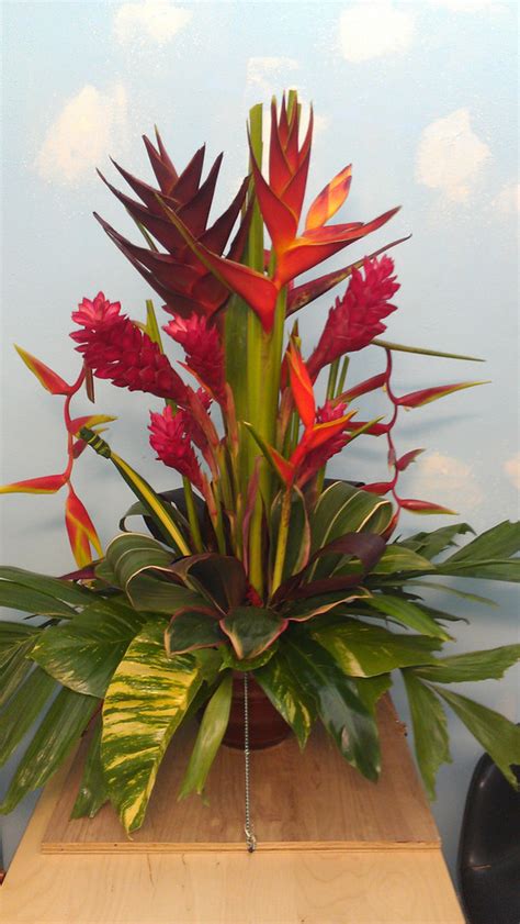 New Tropical Flower Arrangements | Exotica Tropicals – Tropical Plants