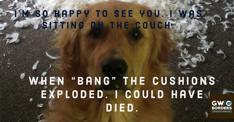 Pin by Goldens Without Borders Rescue on Goldens Without Borders Rescue