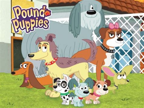 The show follows five dogs (lucky, cookie, niblet, strudel, and squirt) who find homes for dogs at shelter 17. Pound Puppies (2010)