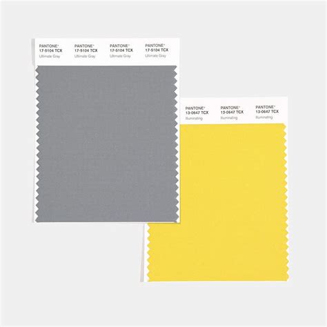 Pantone Announces Two Colors Of The Year 2021 ‘ultimate Gray And