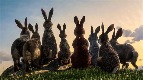 Bbc One Watership Down Episode Guide