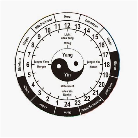 Was ist die innere organuhr in der chinesischen medizin? Die Organuhr - Traditionell chinesische Medizin (TCM ...