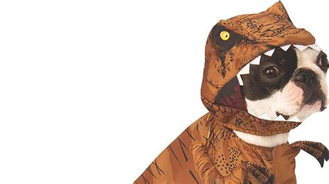 Dinosaur Halloween Costume For Dogs Fierce Dino Costumes For Dogs