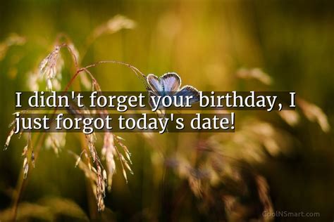 Quote I Didnt Forget Your Birthday I Just Coolnsmart