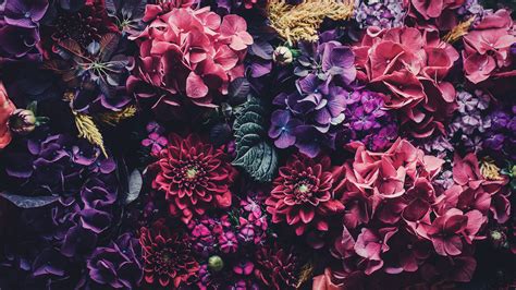 5 Floral Iphone Wallpapers To Celebrate 65k Pinterest