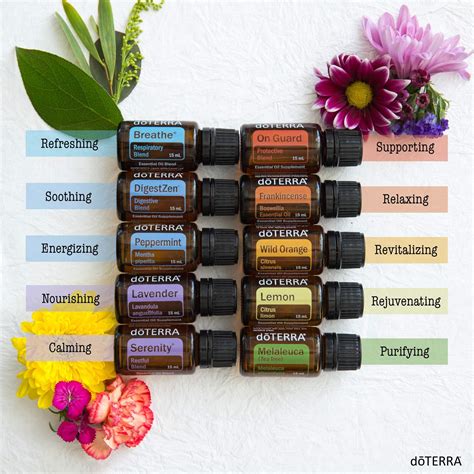 doTERRA Essential Oils - Core Kneads Therapeutics and Wellness