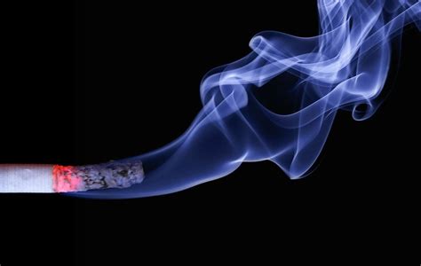 fumo passivo 15 effetti nocivi da conoscere ambiente bio