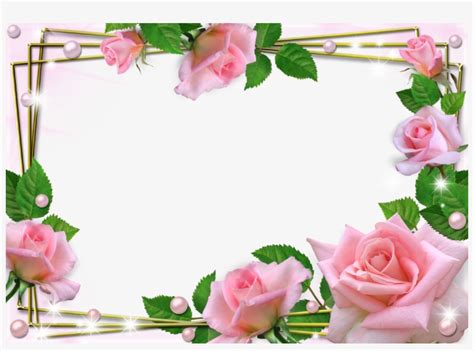 Beautiful Pink Flower Borders And Frames