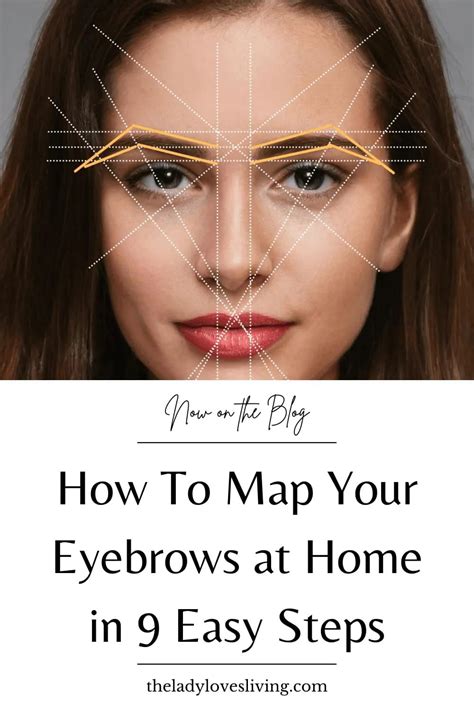 High Arch Eyebrows Fix Eyebrows How To Do Eyebrows Arched Eyebrows