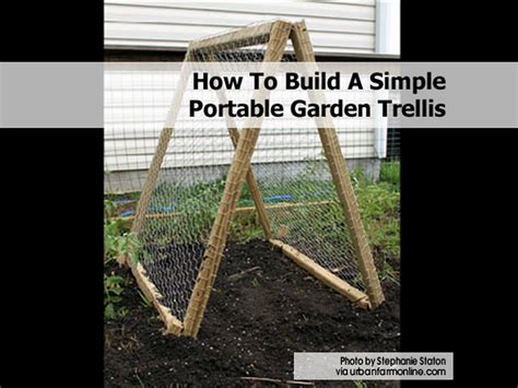 Gardening expert gayla trail offers advice on the best plants to trellis and how to create your own diy plant supports. How To Build A Simple Portable Garden Trellis