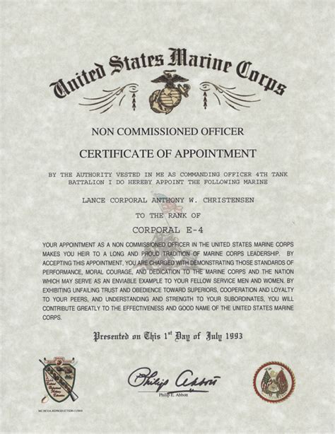 Army Navy Air Force And Marine Corps Nco Appointment Certificate