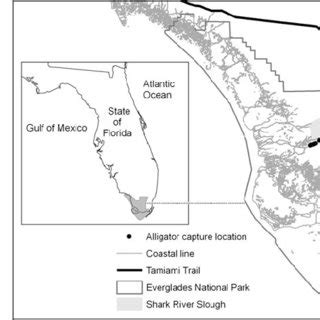 Map Of Everglades National Park And Its Location Within The State Of Florida Capture Q320 