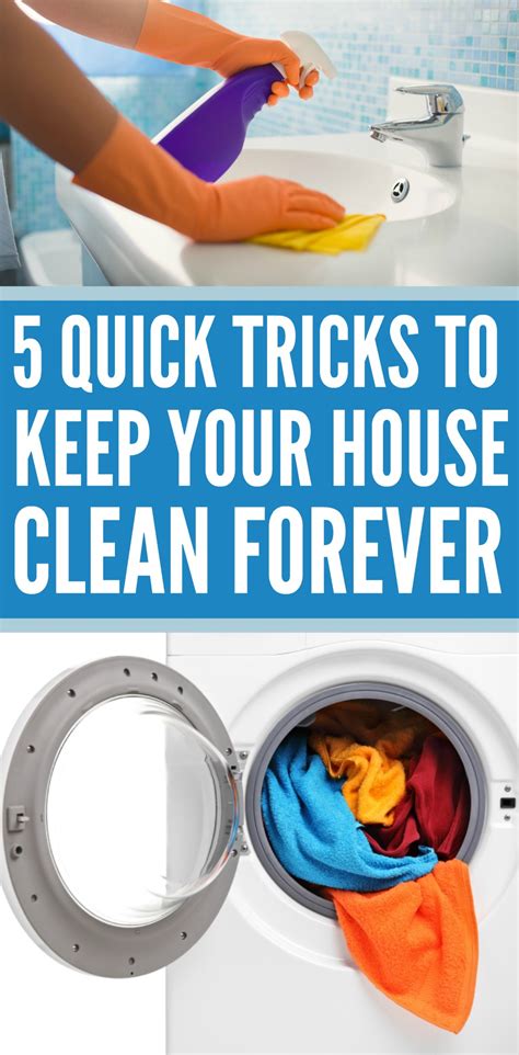 5 Quick Tricks To Keep Your House Clean Forever Written Reality