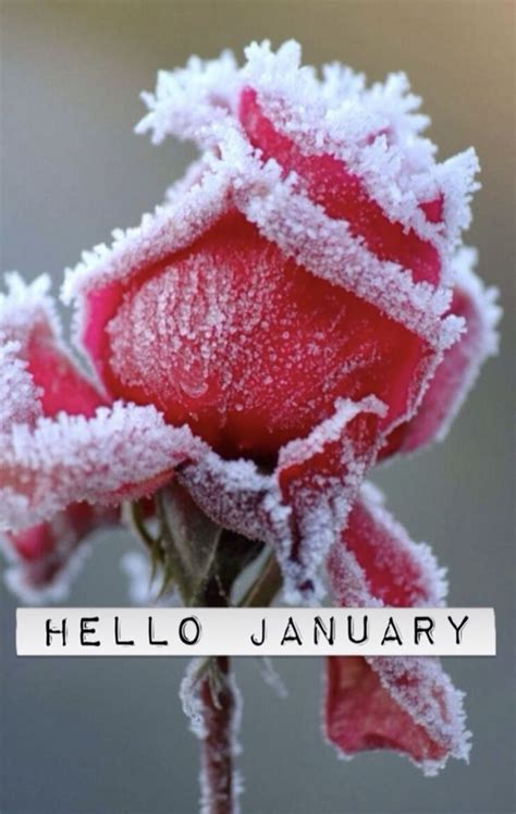 Hello January | Hello january, January wallpaper, Hello january quotes