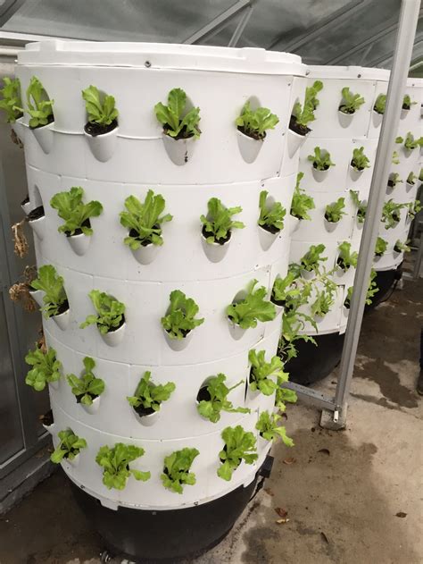 Wholesale 70pcs Hydroponics System Aeroponic Tower Garden For Greehouse