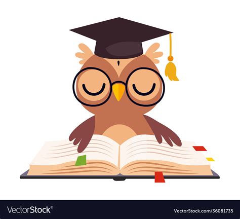Wise Brown Owl In Graduation Cap Cute Bird Vector Image
