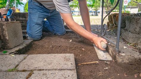 How To Remove Tree Roots Under Pavers Diy With Western Interlock