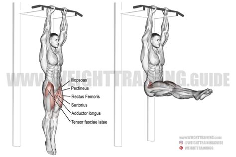 Hanging Straight Leg Raise Exercise Guide And Video Weighttrainingguide