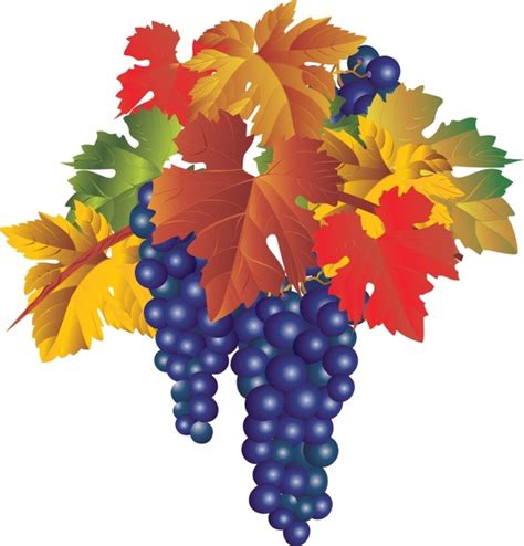 | view 39 grape illustration, images and graphics from +50,000 possibilities. Wine and grape vector Free vector in Encapsulated ...