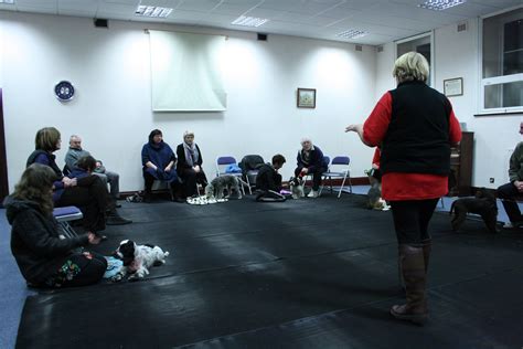 There are also puppy training classes for your puppy to go to. Puppy Training Classes