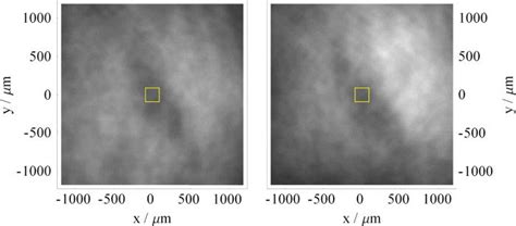 Images Of A Cold Atom Cloud Obtained On The Two Ccd Cameras For A