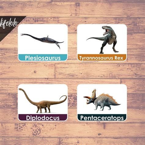 Yugioh 40 cards complete dinosaur beatdown deck + 2 xyzs! Dinosaurs - 24 Flash Cards | Nomenclature Cards | Montessori Materials | Three Part Cards ...