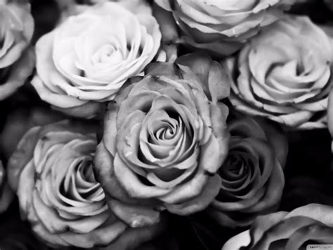 White in the city is an event of milan fuorisalone 2017 showcasing white in its many facets. White Aesthetic Wallpapers - Wallpaper Cave