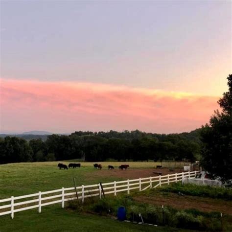 Down On The Farm In Jefferson County Tennessee Visit Jefferson