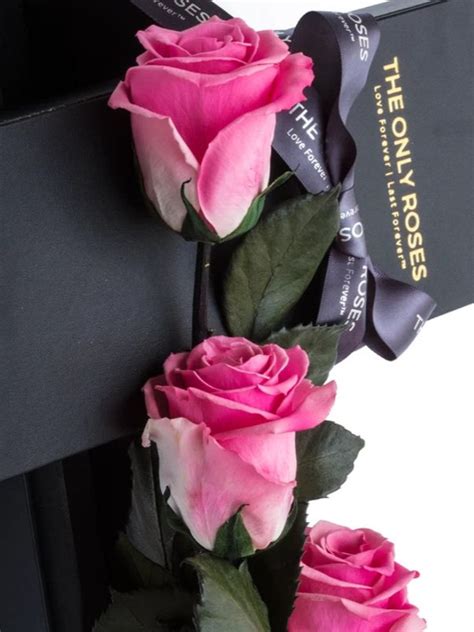 The Only Plus 3 Pink Preserved Long Stem Roses Bouquet Roses