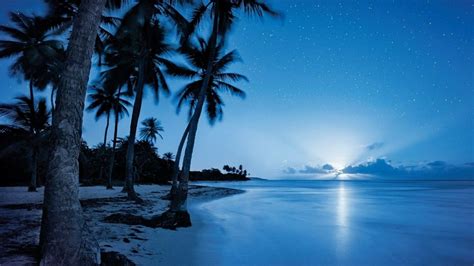 Night Time Beach Wallpapers Top Free Night Time Beach Backgrounds