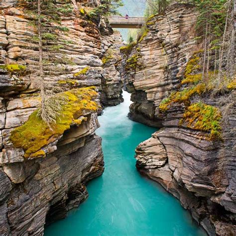 Athabasca Falls Jasper Canada Amazing American Nature Pinterest