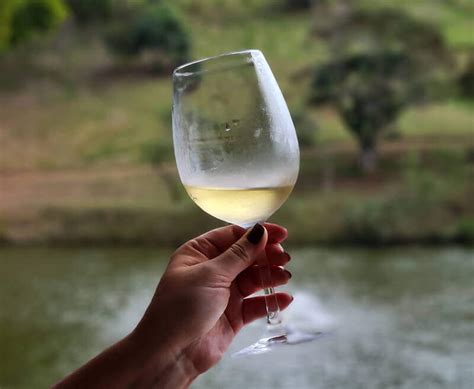 Comment refroidir une bouteille de vin rapidement