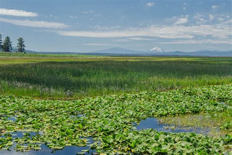 Pacific Northwest Photography Oregon Klamath Marsh National Wildlife Refuge