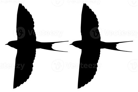 Paar Van De Vliegend Slikken Vogel Silhouet Voor Logo Pictogram