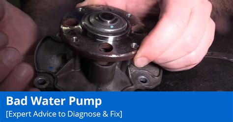 Bad Water Pump Expert Tips To Diagnose And Fix 1a Auto