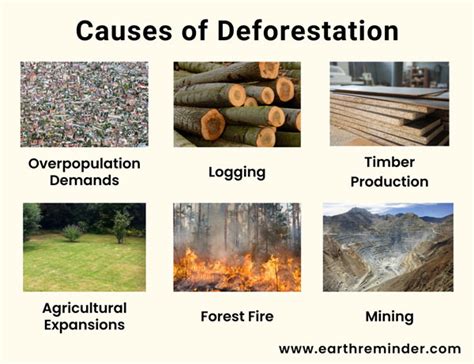 Deforestation Awareness Deforestation Drawing Environmental Posters