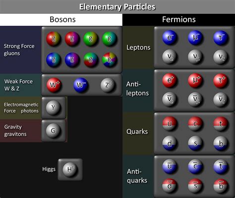 Quantum Particles Gauge Bosons Biblical Science Institute