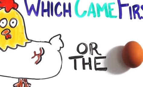 Which Came First The Chicken Or The Egg Video Boomsbeat