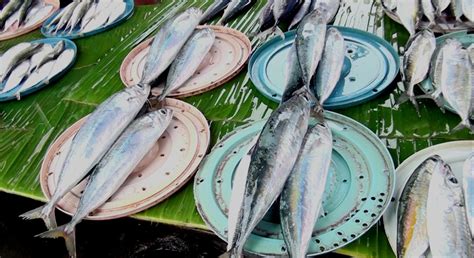 Pada kondisi tertentu, asi perah dapat disimpan di lemari es/ freezer agar dapat bertahan lebih lama. Jangan Kelamaan Simpan Makanan di Kulkas, Simak Ini ...