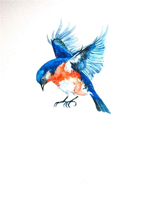 Flying Blue Bird Drawing