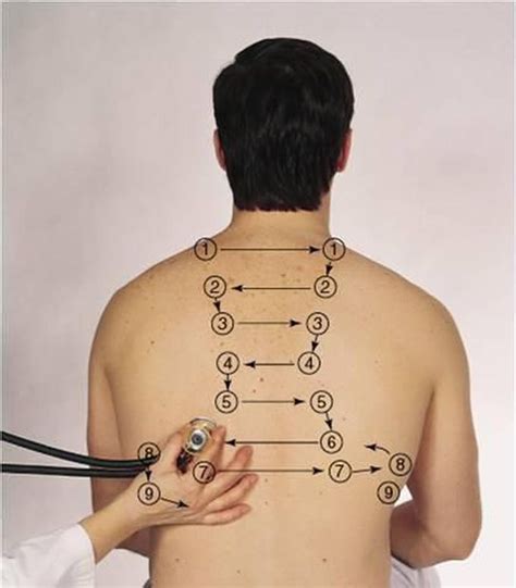 Аускультация легких auscultation of the lungs MEDizzy