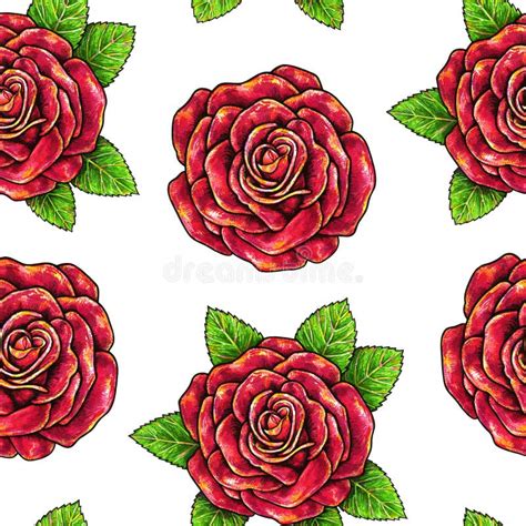 Drawn Red Roses Seamless Background Flowers Illustration Front View