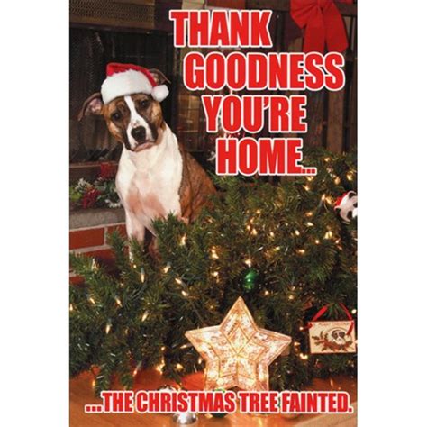 Tree Fainted Dog Box Of 12 Funny Christmas Cards